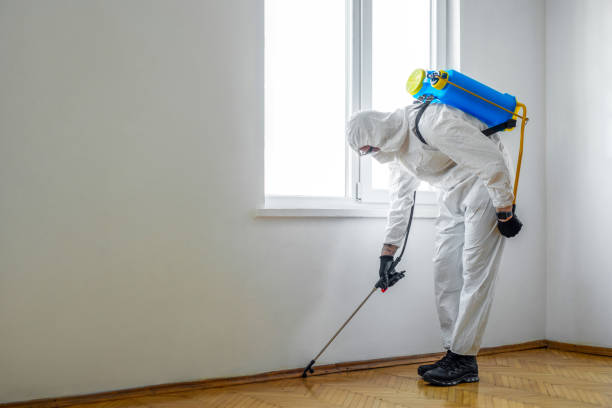Best Commercial Pest Control Services  in Utica, SC