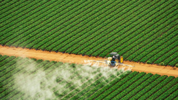 Best Pest Control Cost  in Utica, SC