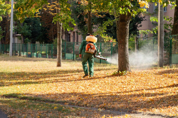 Best Best Pest Control Companies  in Utica, SC