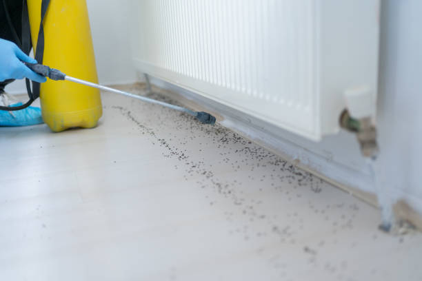 Best Pest Removal Services  in Utica, SC