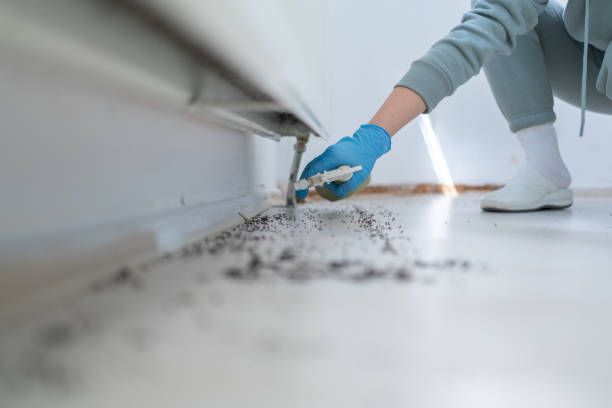 Trusted Utica, SC Pest Control Experts
